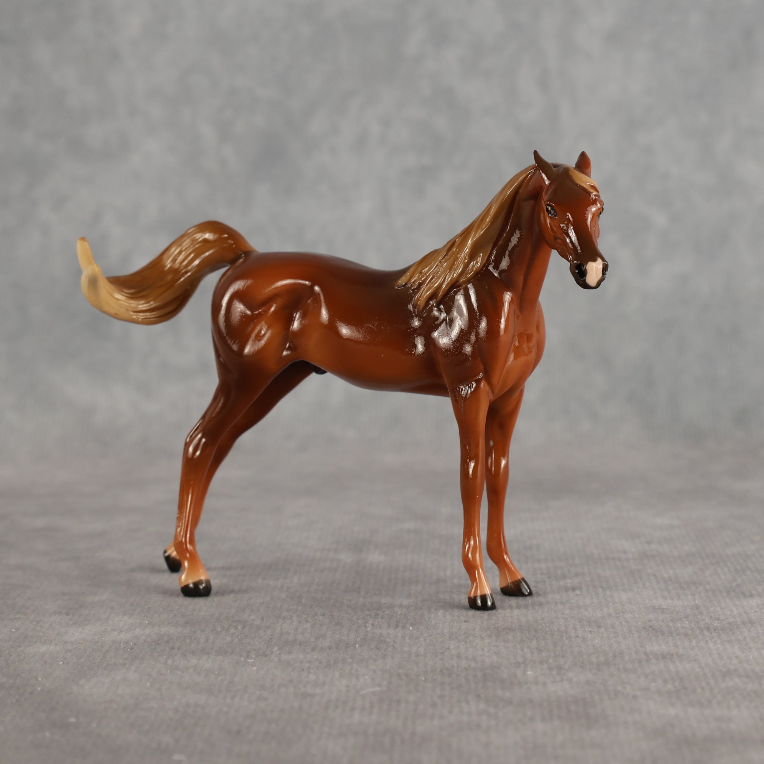 Flash Bang OOAK EFCM Chip Arabian by Tegan Davis Best Offer 9.8.2026