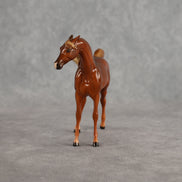 Flash Bang OOAK EFCM Chip Arabian by Tegan Davis Best Offer 9.8.2026