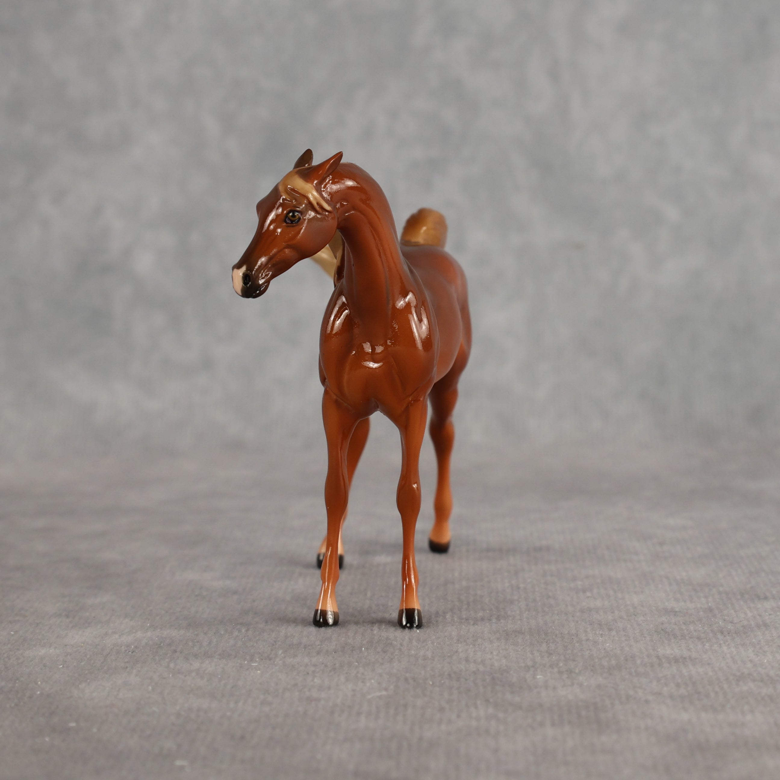 Flash Bang OOAK EFCM Chip Arabian by Tegan Davis Best Offer 9.8.2026