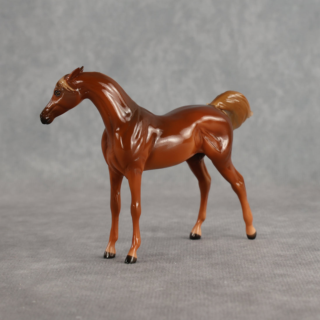 Flash Bang OOAK EFCM Chip Arabian by Tegan Davis Best Offer 9.8.2026