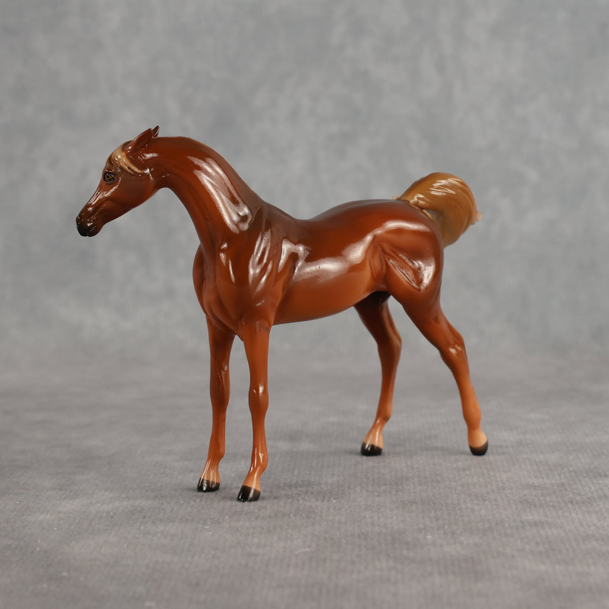 Flash Bang OOAK EFCM Chip Arabian by Tegan Davis Best Offer 9.8.2026