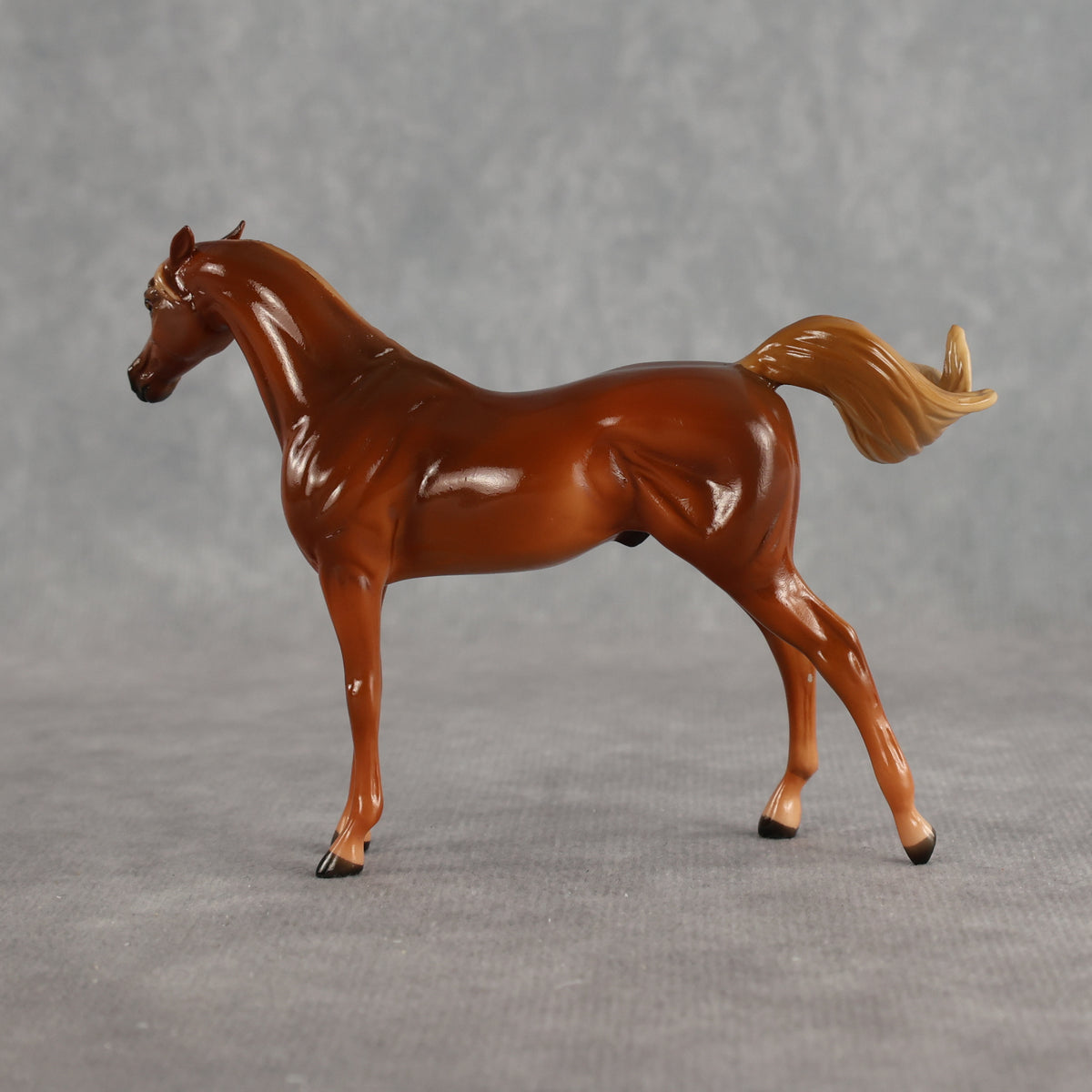 Flash Bang OOAK EFCM Chip Arabian by Tegan Davis Best Offer 9.8.2026