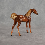 Flash Bang OOAK EFCM Chip Arabian by Tegan Davis Best Offer 9.8.2026