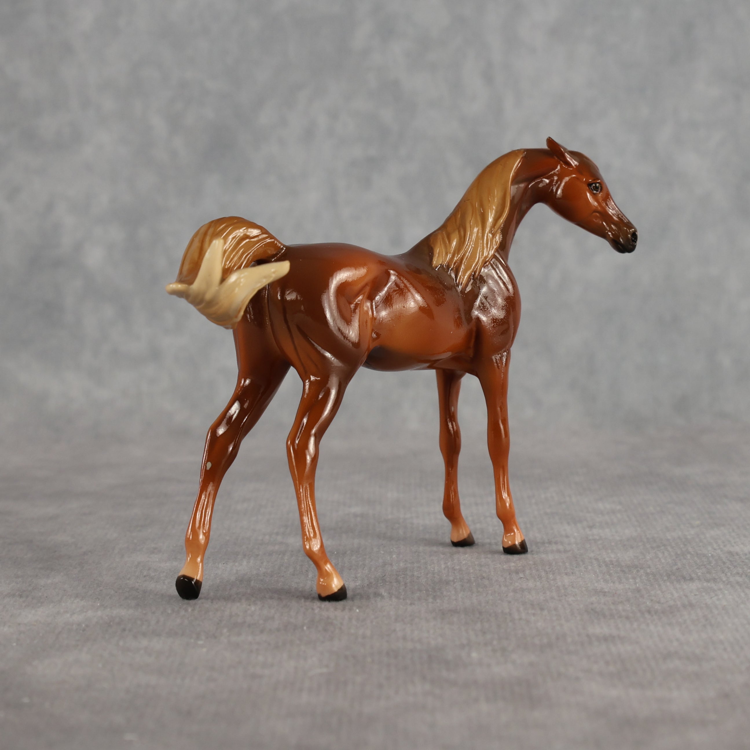 Flash Bang OOAK EFCM Chip Arabian by Tegan Davis Best Offer 9.8.2026