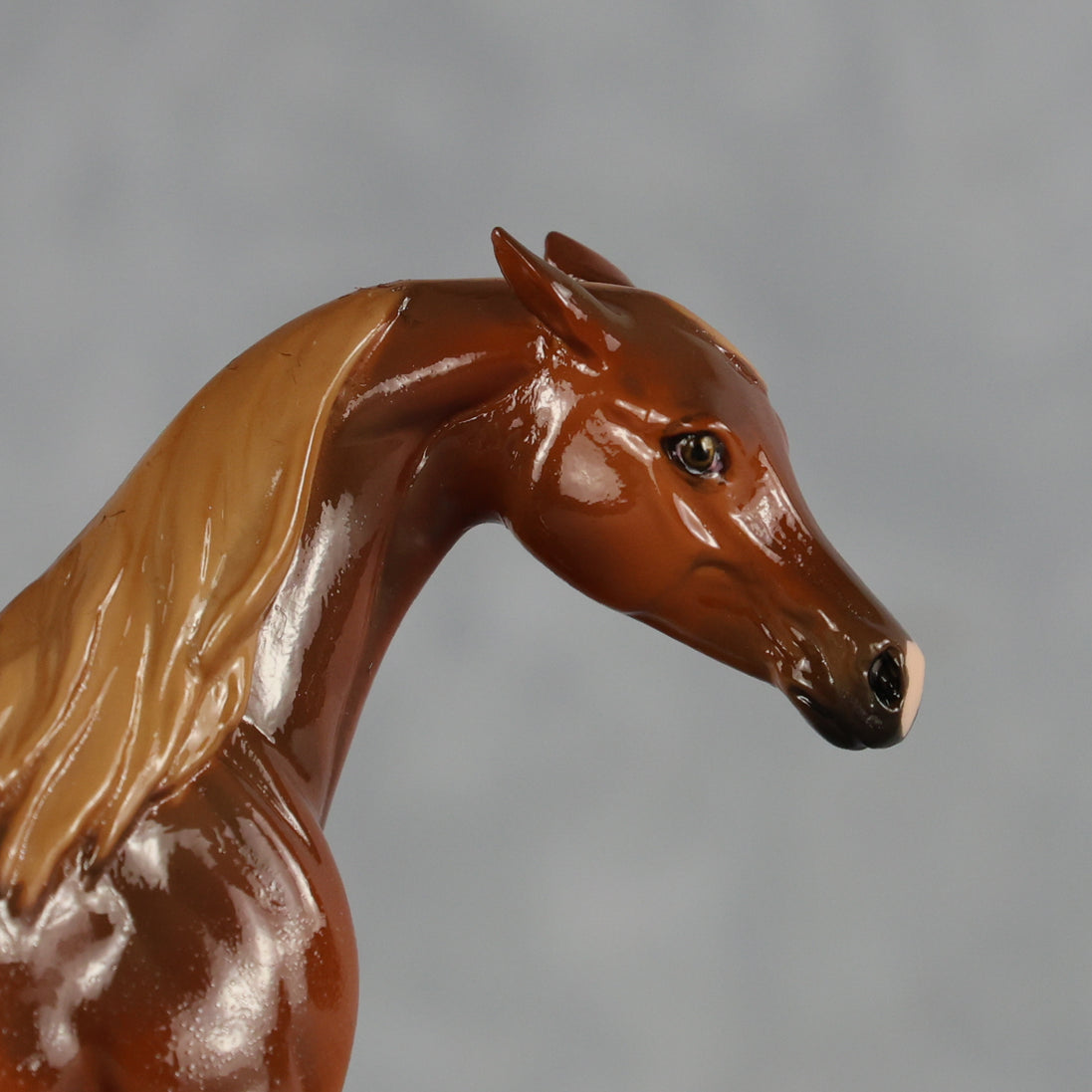Flash Bang OOAK EFCM Chip Arabian by Tegan Davis Best Offer 9.8.2026