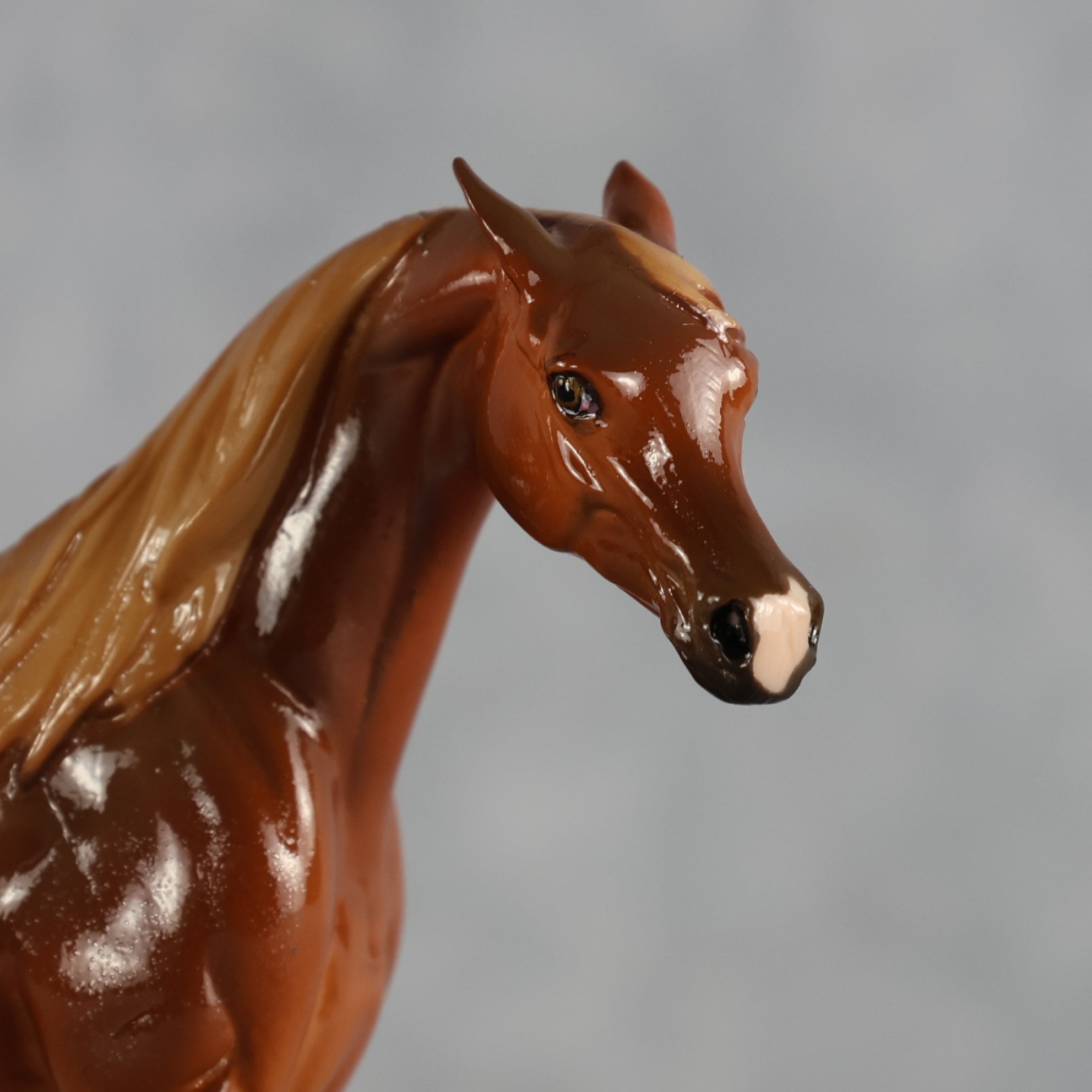 Flash Bang OOAK EFCM Chip Arabian by Tegan Davis Best Offer 9.8.2026