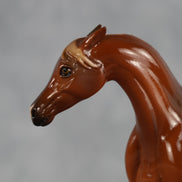 Flash Bang OOAK EFCM Chip Arabian by Tegan Davis Best Offer 9.8.2026