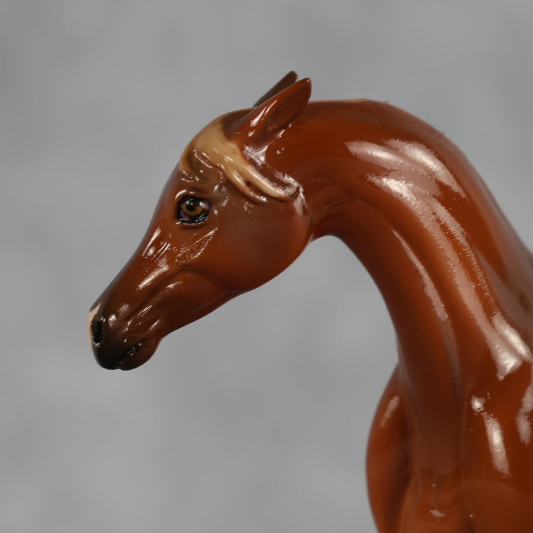 Flash Bang OOAK EFCM Chip Arabian by Tegan Davis Best Offer 9.8.2026