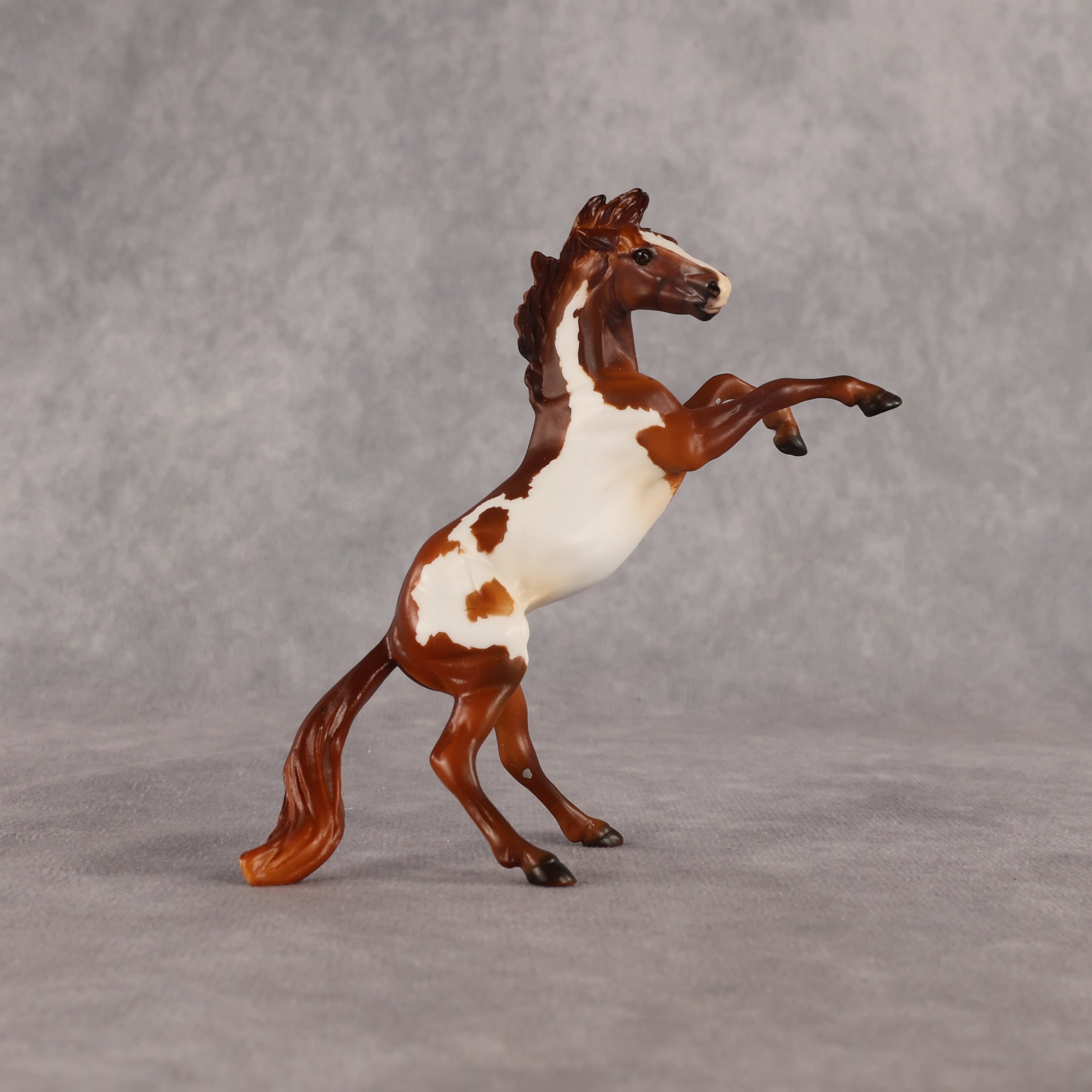 Flikflok Famous OOAK Chip Mustang by Dawn Quick EQ26