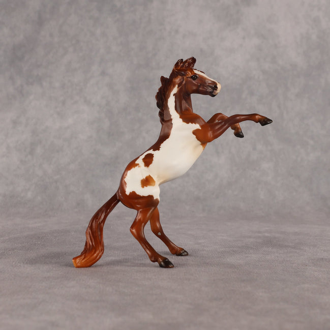 Flikflok Famous OOAK Chip Mustang by Dawn Quick EQ26
