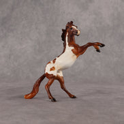 Flikflok Famous OOAK Chip Mustang by Dawn Quick EQ26