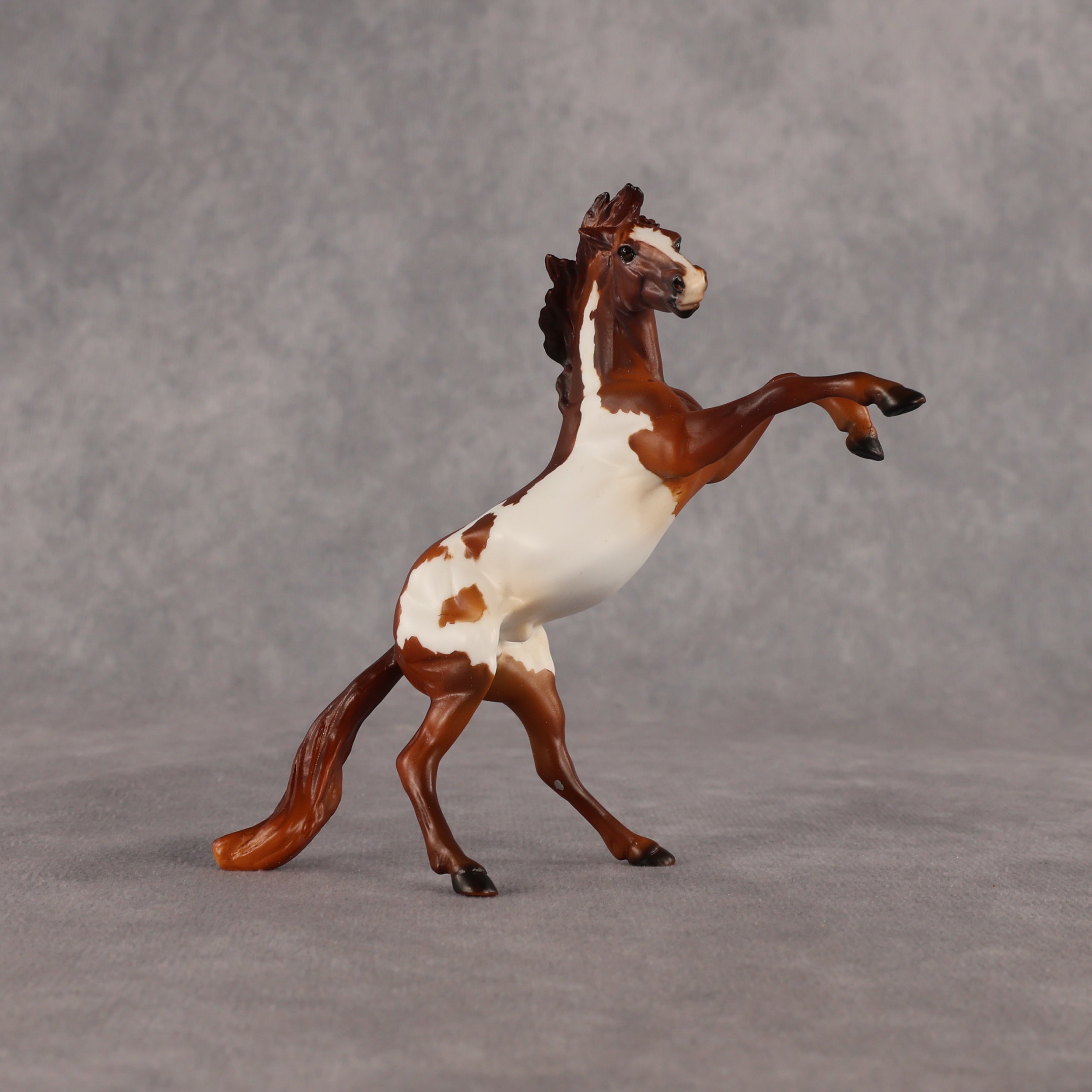 Flikflok Famous OOAK Chip Mustang by Dawn Quick EQ26