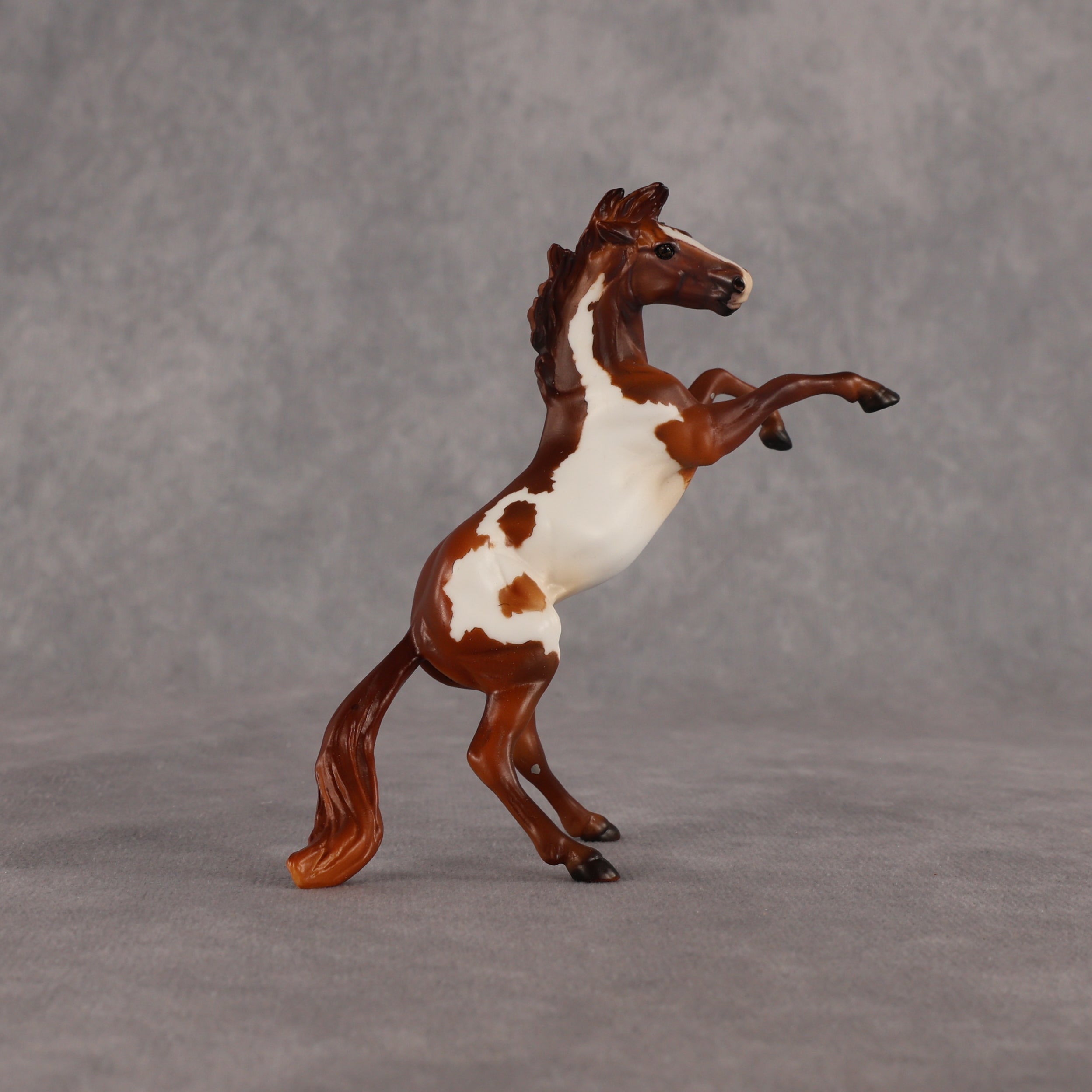 Flikflok Famous OOAK Chip Mustang by Dawn Quick EQ26
