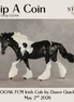 Flip A Coin OOAK FCM Irish Cob by Dawn Quick DDOOAKs26