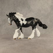 Flip A Coin OOAK FCM Irish Cob by Dawn Quick DDOOAKs26