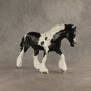 Flip A Coin OOAK FCM Irish Cob by Dawn Quick DDOOAKs26