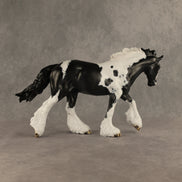 Flip A Coin OOAK FCM Irish Cob by Dawn Quick DDOOAKs26