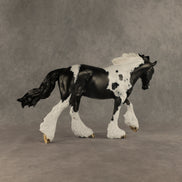 Flip A Coin OOAK FCM Irish Cob by Dawn Quick DDOOAKs26