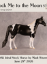 Flock Me to the Moon OOAK Ideal Stock Horse by Madi Wiseman DDOOAKs26