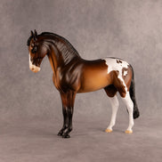 Flocky Woods OOAK FCM Andalusian by Alex Fortman DDOOAKs26
