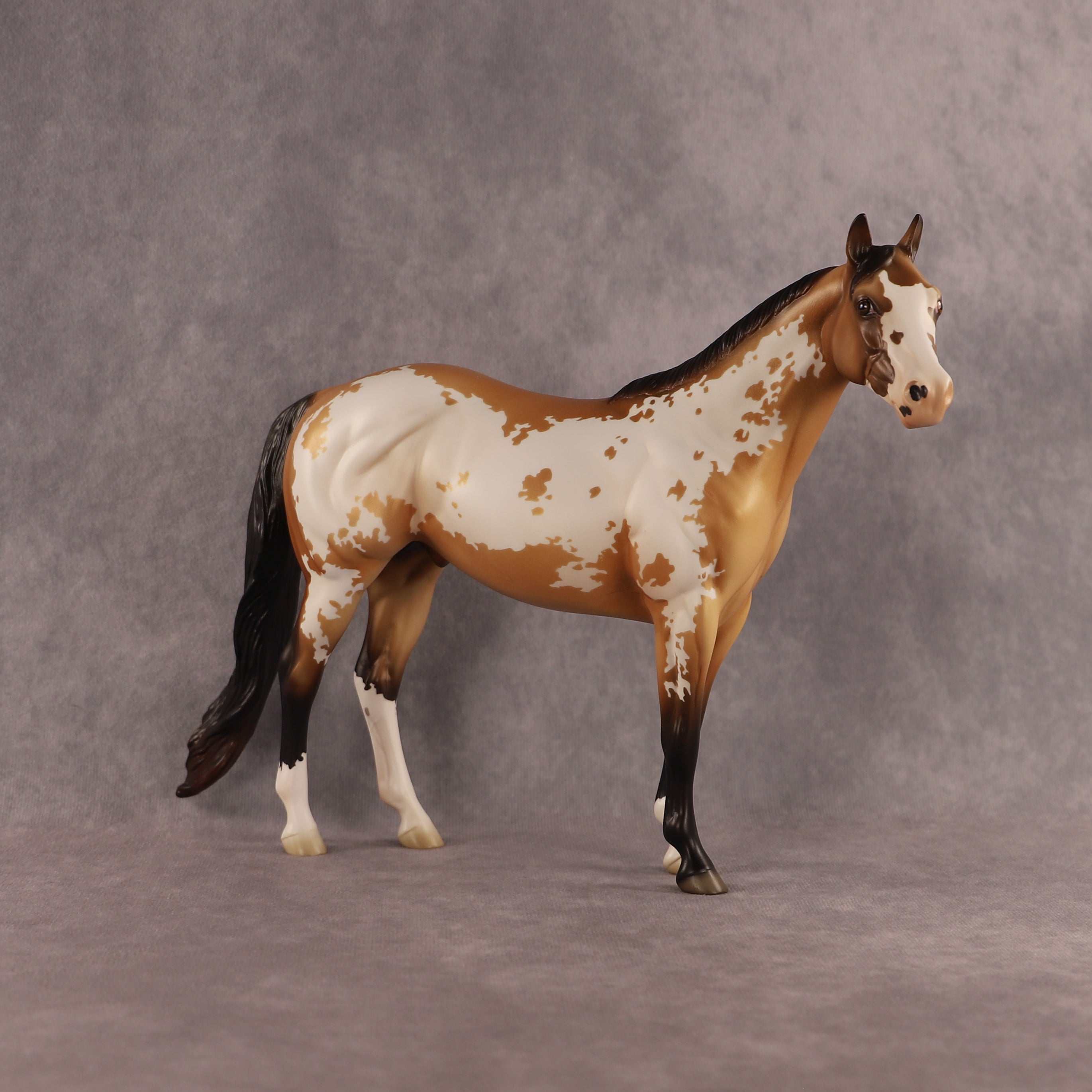 Flockie Gump OOAK Ideal Stock Horse by Jess Hamill EQ26