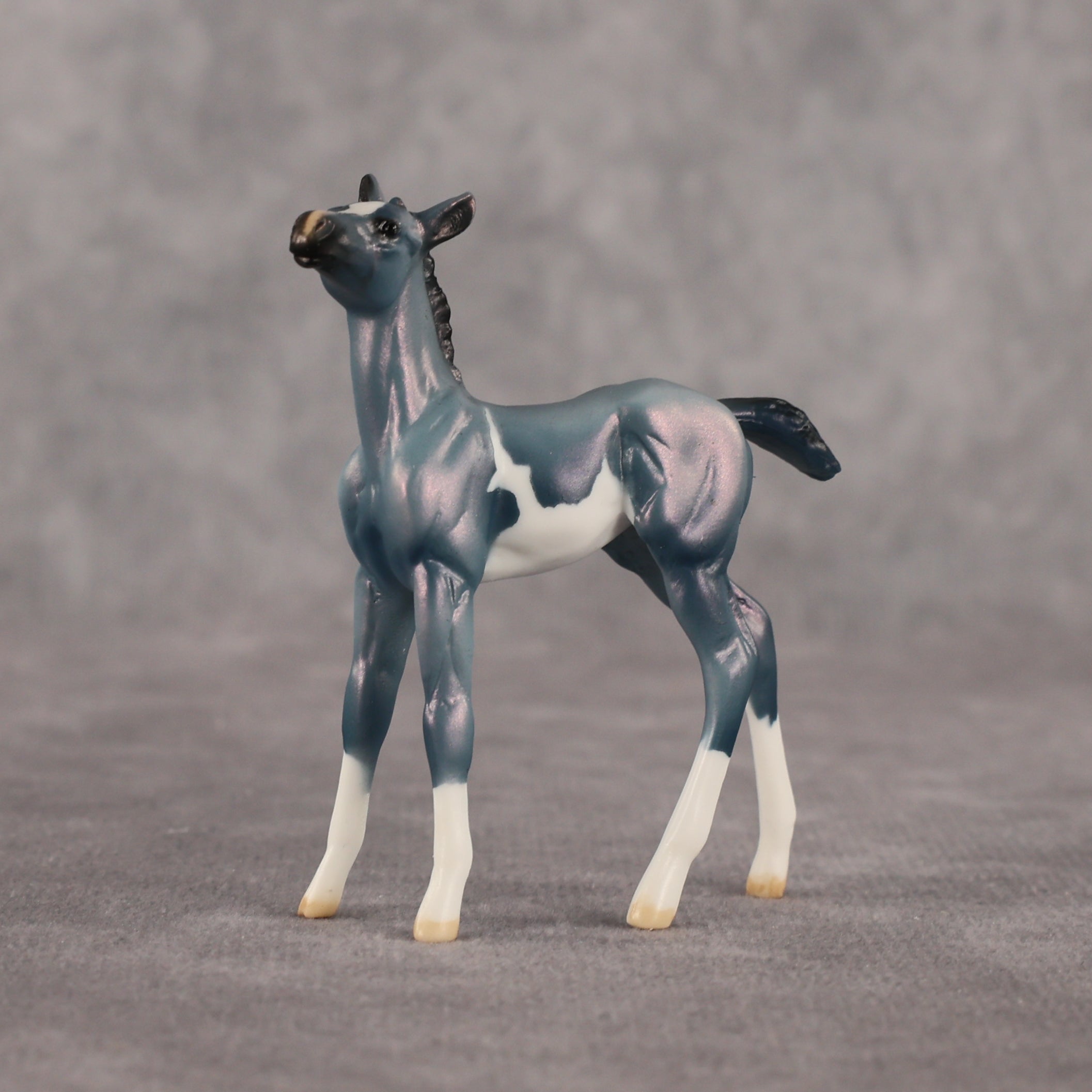 Flockie Mercury OOAK Chip Foal by Dawn Quick EQ26