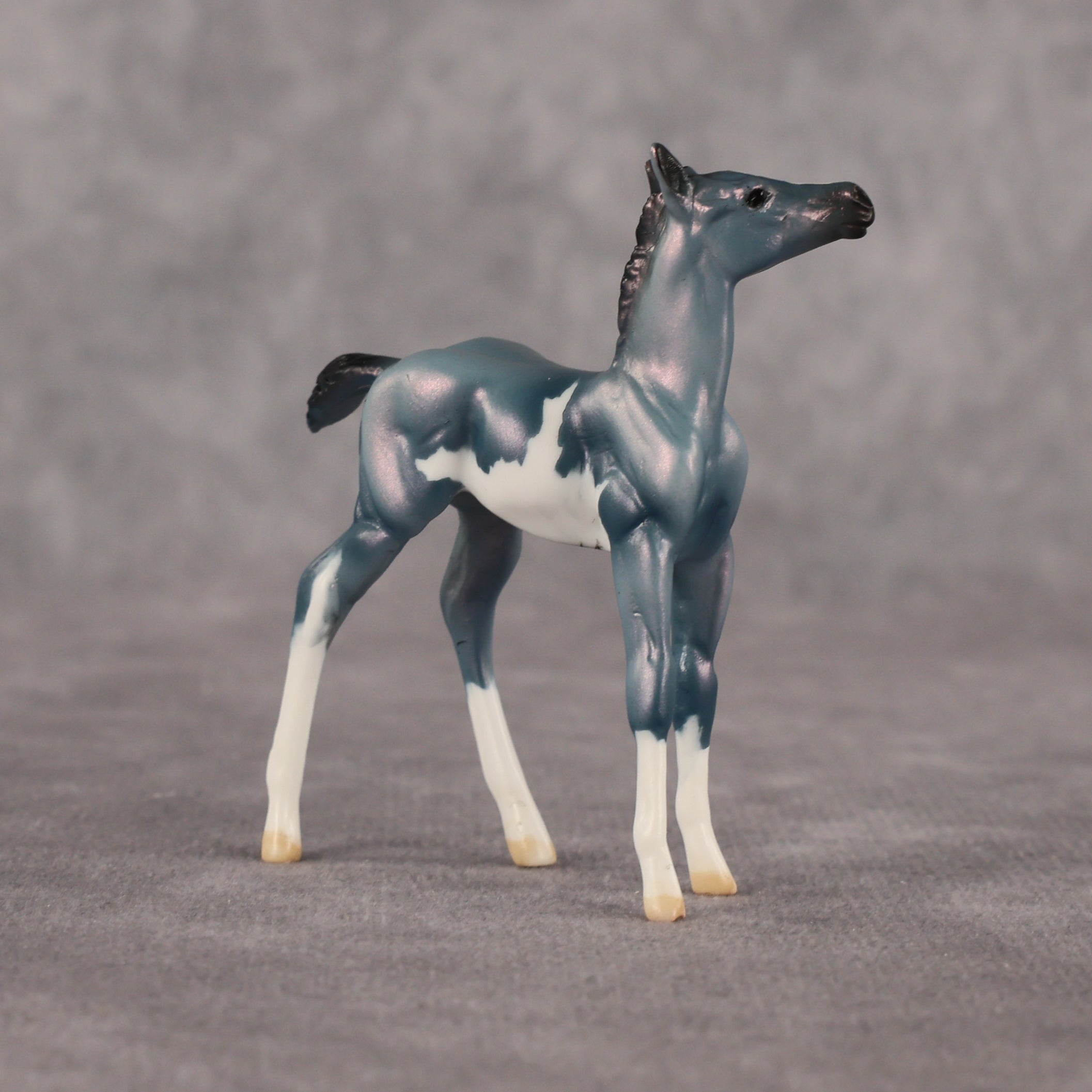 Flockie Mercury OOAK Chip Foal by Dawn Quick EQ26