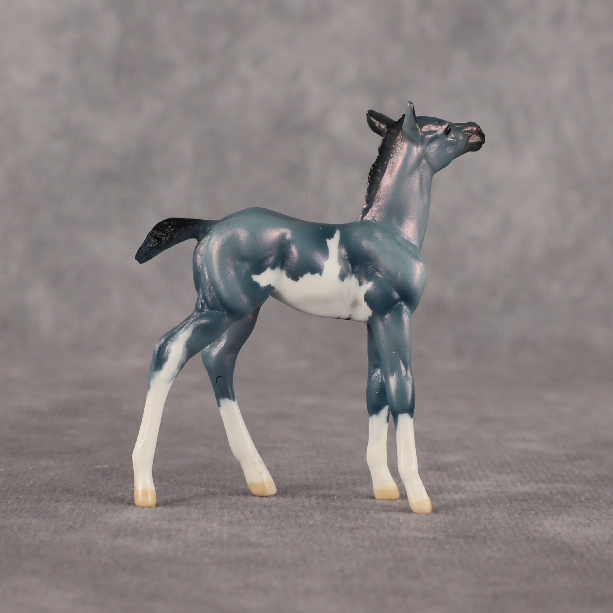 Flockie Mercury OOAK Chip Foal by Dawn Quick EQ26