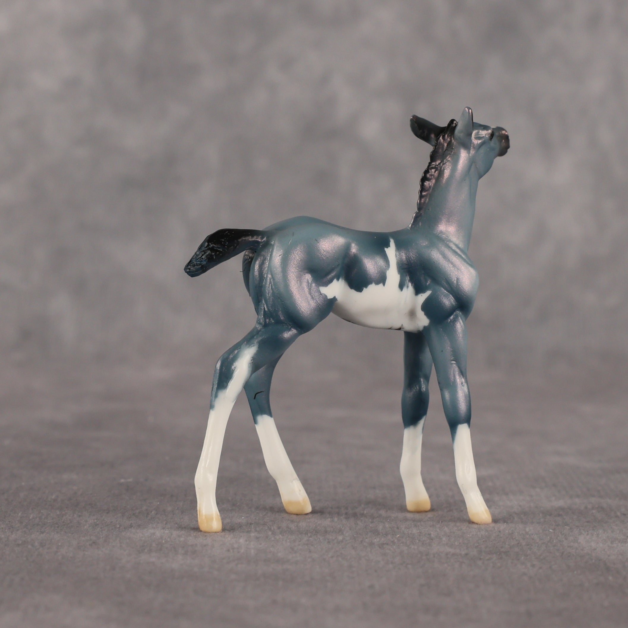 Flockie Mercury OOAK Chip Foal by Dawn Quick EQ26