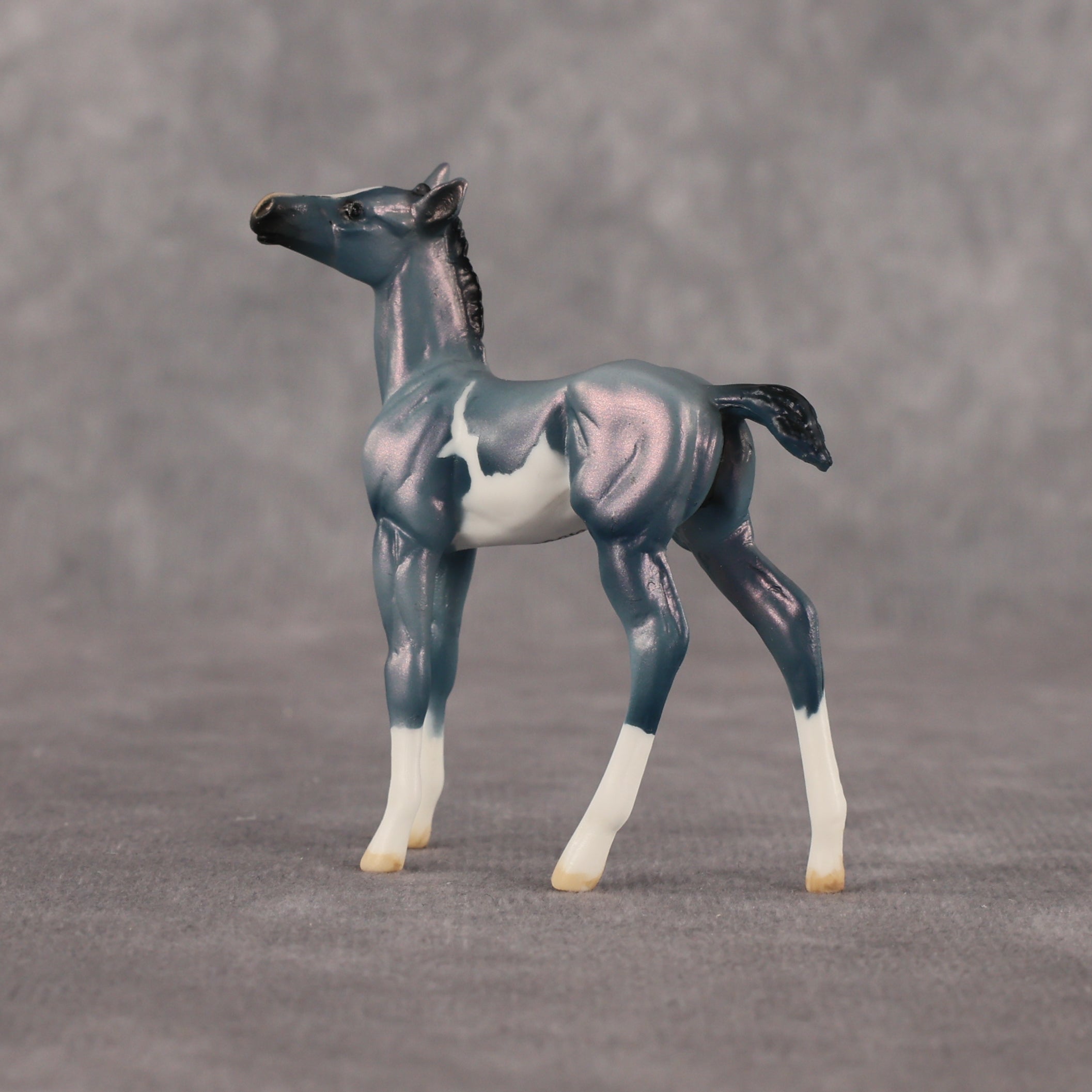 Flockie Mercury OOAK Chip Foal by Dawn Quick EQ26