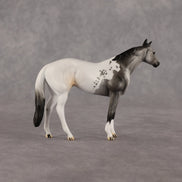 Flockie XCX  OOAK Chip Stock Horse by Dawn Quick EQ26