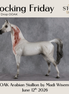 Flocking Friday OOAK Arabian Stallion by Madi Wiseman DDOOAKs26