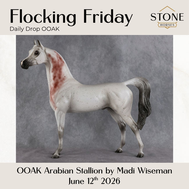 Flocking Friday OOAK Arabian Stallion by Madi Wiseman DDOOAKs26