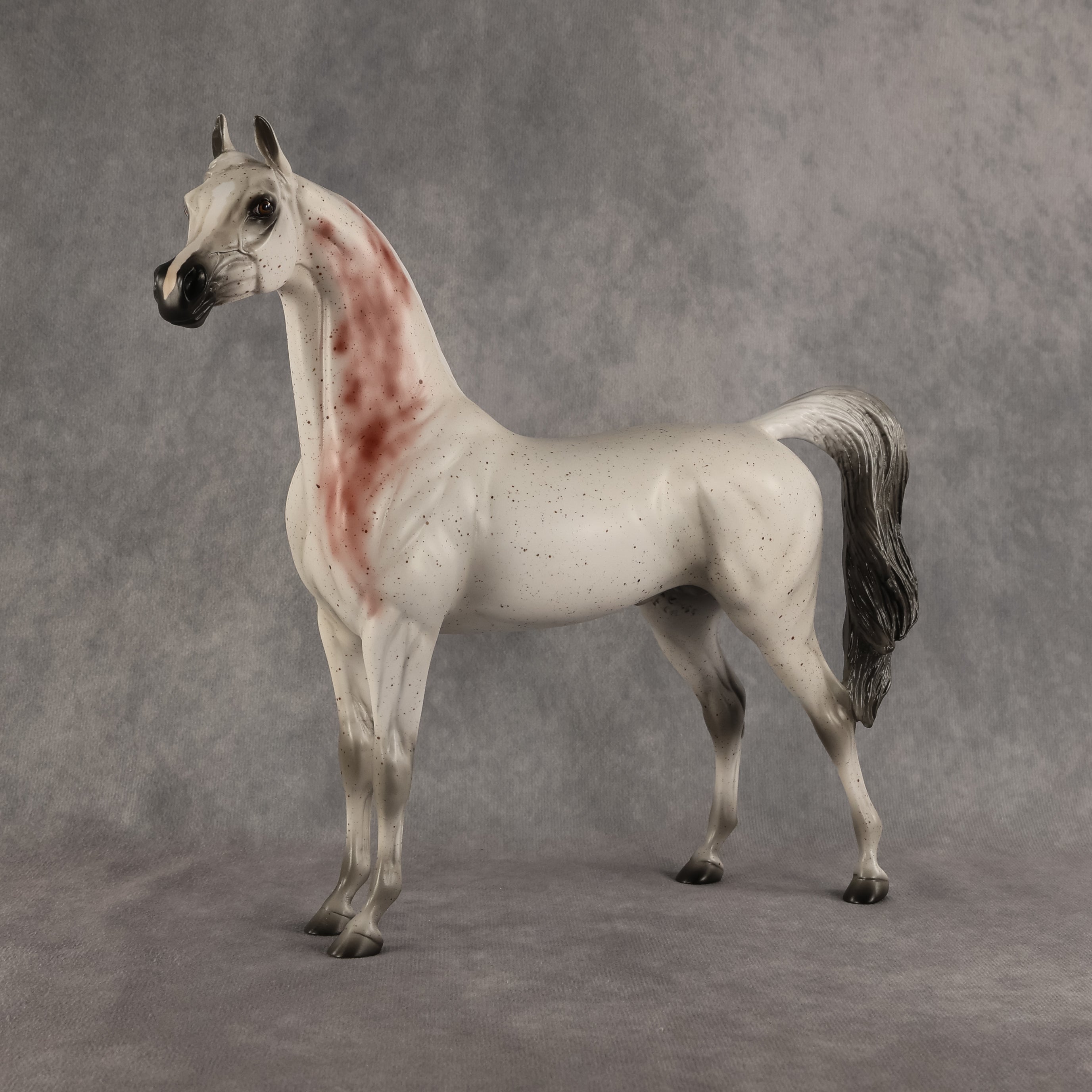 Flocking Friday OOAK Arabian Stallion by Madi Wiseman DDOOAKs26