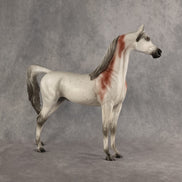 Flocking Friday OOAK Arabian Stallion by Madi Wiseman DDOOAKs26