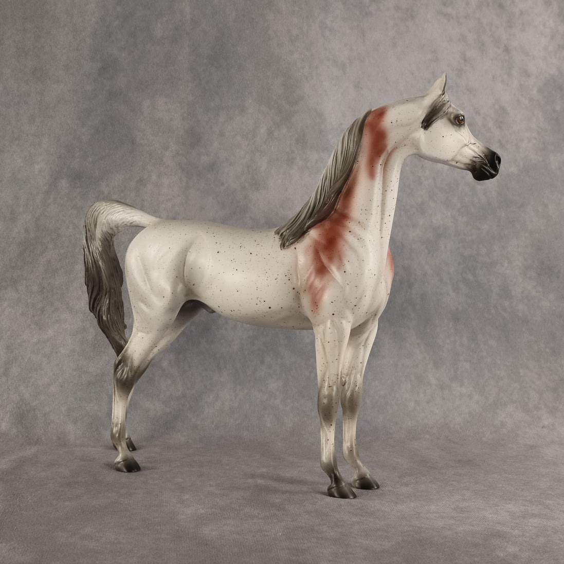 Flocking Friday OOAK Arabian Stallion by Madi Wiseman DDOOAKs26