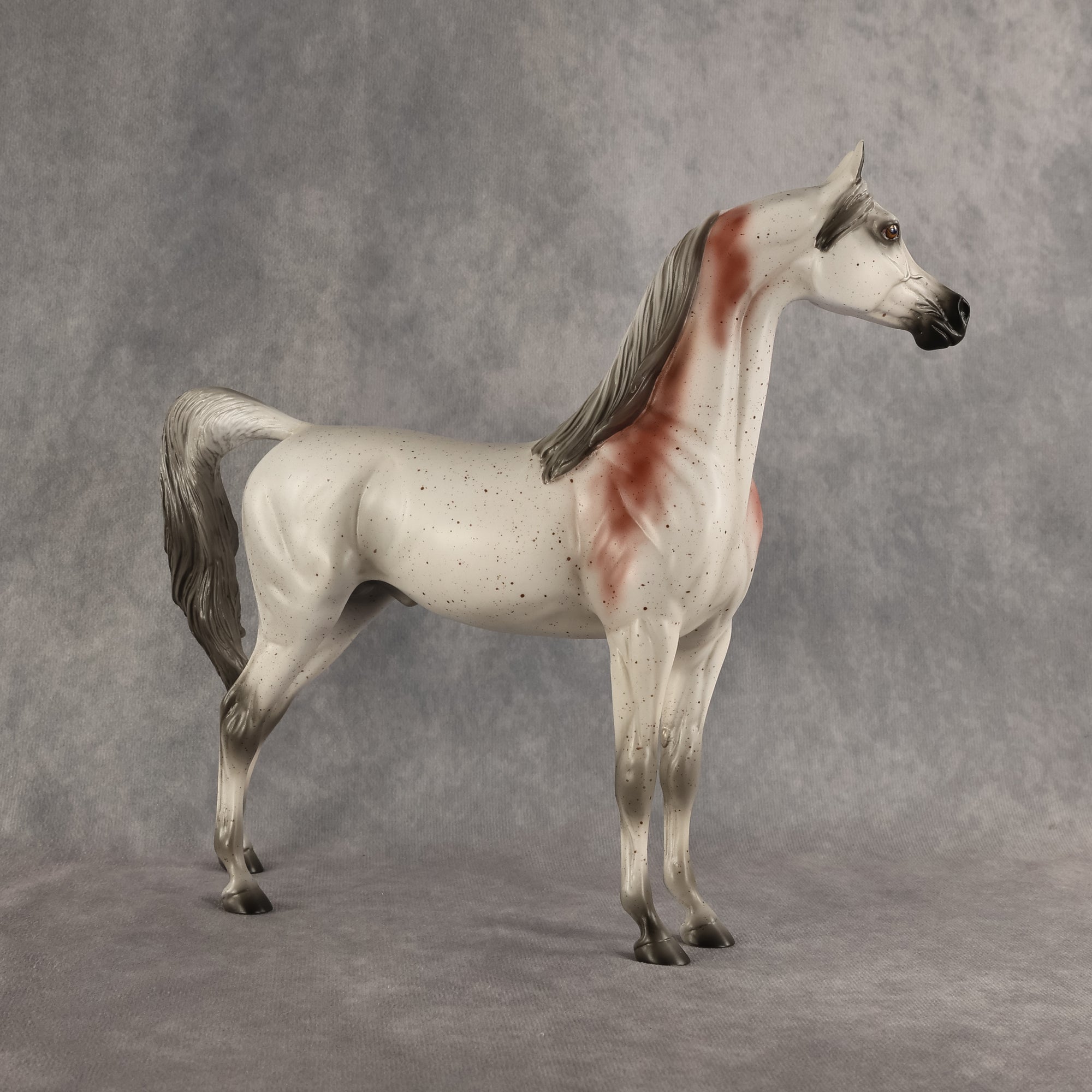 Flocking Friday OOAK Arabian Stallion by Madi Wiseman DDOOAKs26