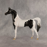 Flocking On A Dream OOAK Arabian Stallion by Carissa Mathews DDOOAKs26