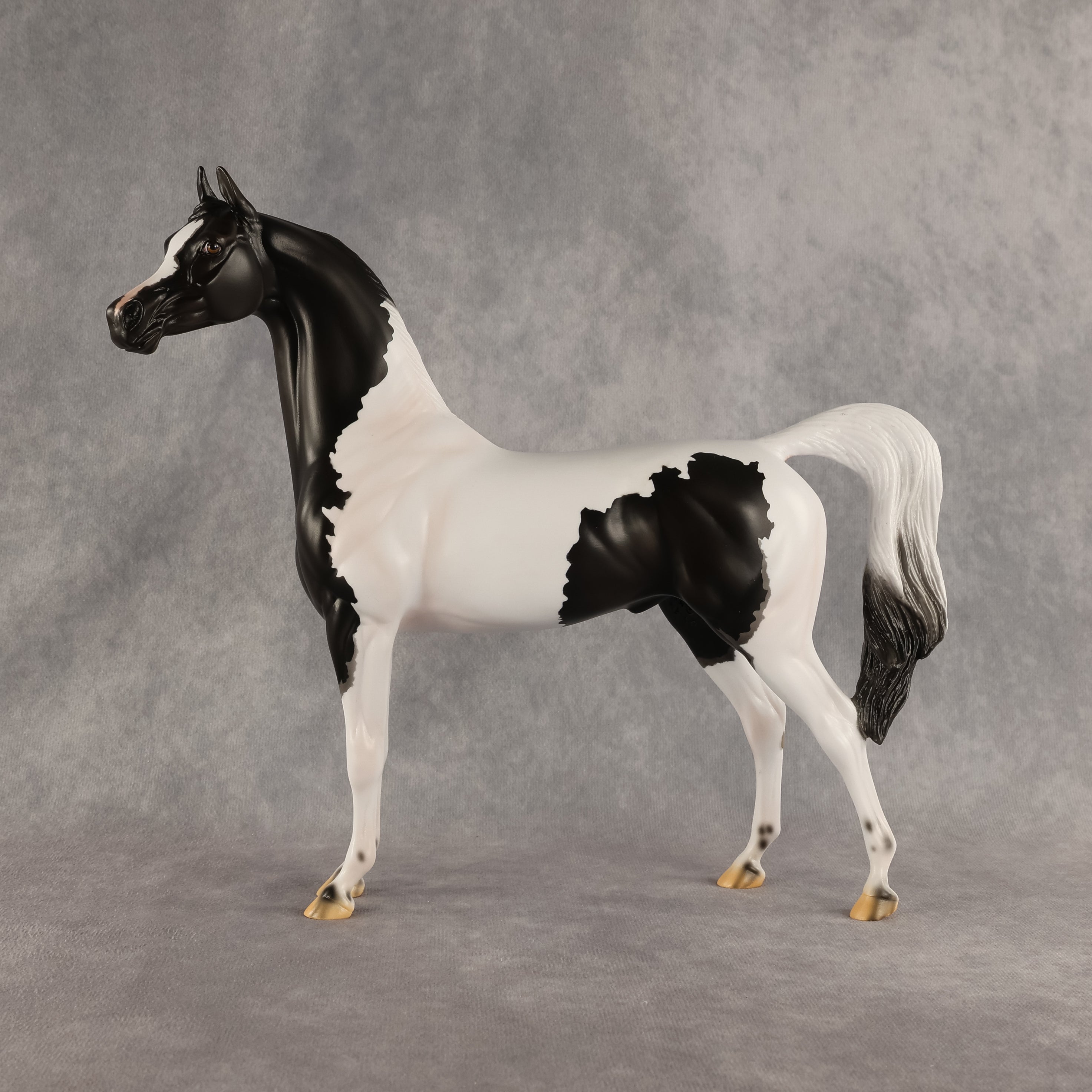 Flocking On A Dream OOAK Arabian Stallion by Carissa Mathews DDOOAKs26