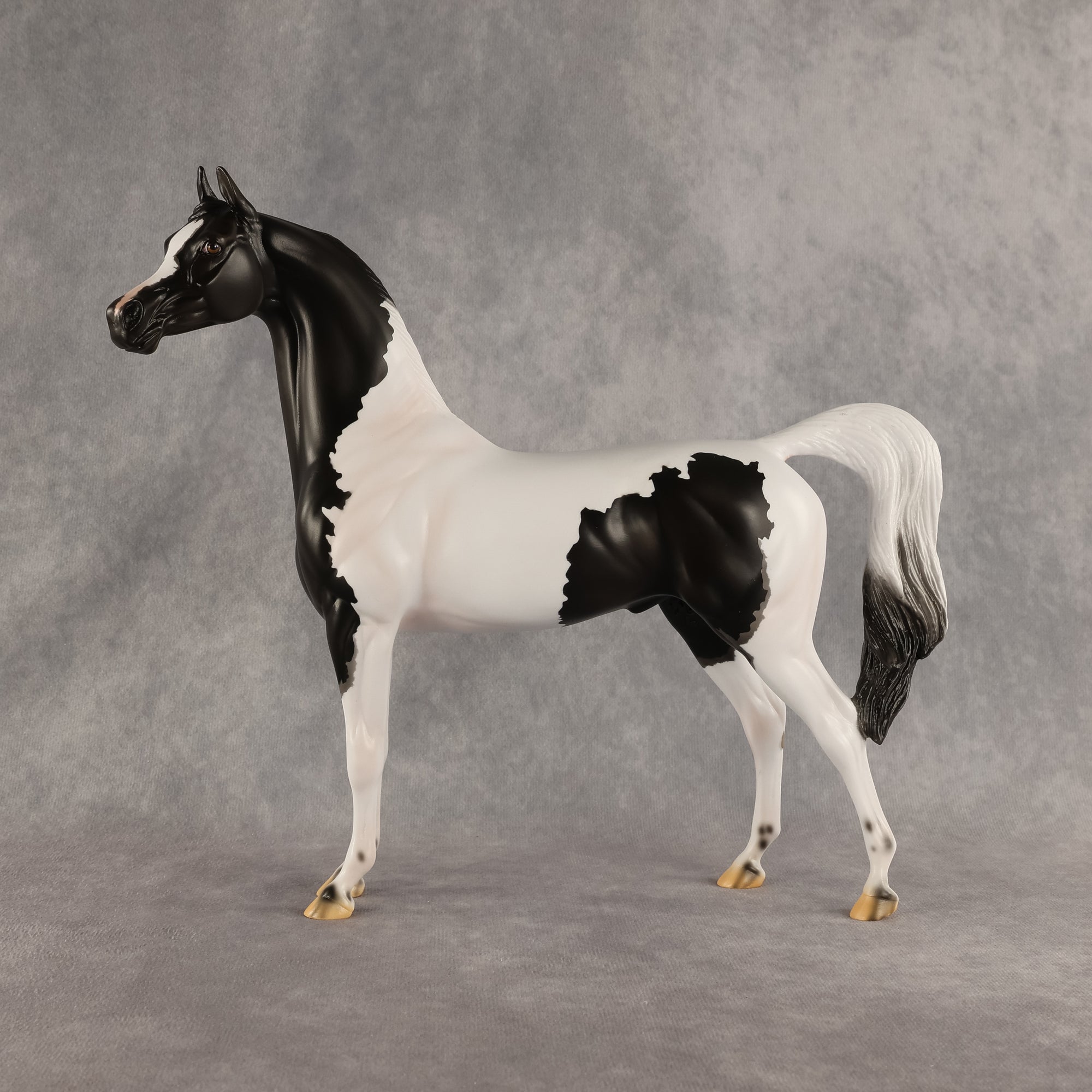 Flocking On A Dream OOAK Arabian Stallion by Carissa Mathews DDOOAKs26