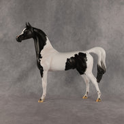 Flocking On A Dream OOAK Arabian Stallion by Carissa Mathews DDOOAKs26