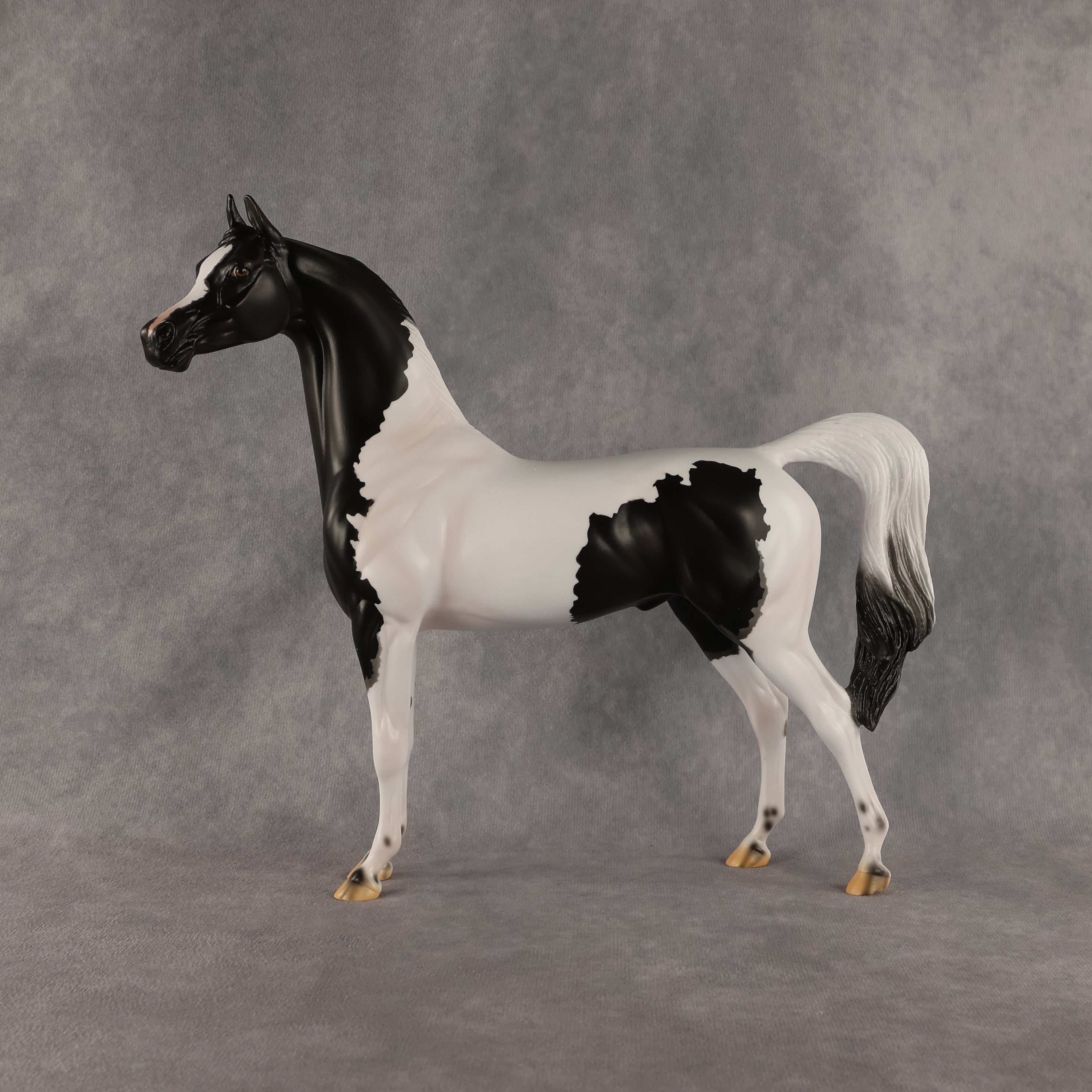 Flocking On A Dream OOAK Arabian Stallion by Carissa Mathews DDOOAKs26
