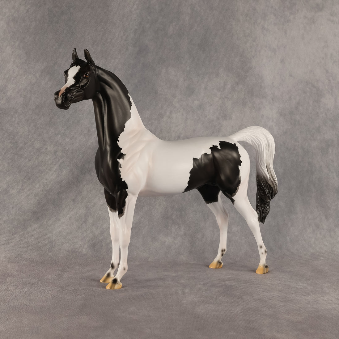 Flocking On A Dream OOAK Arabian Stallion by Carissa Mathews DDOOAKs26
