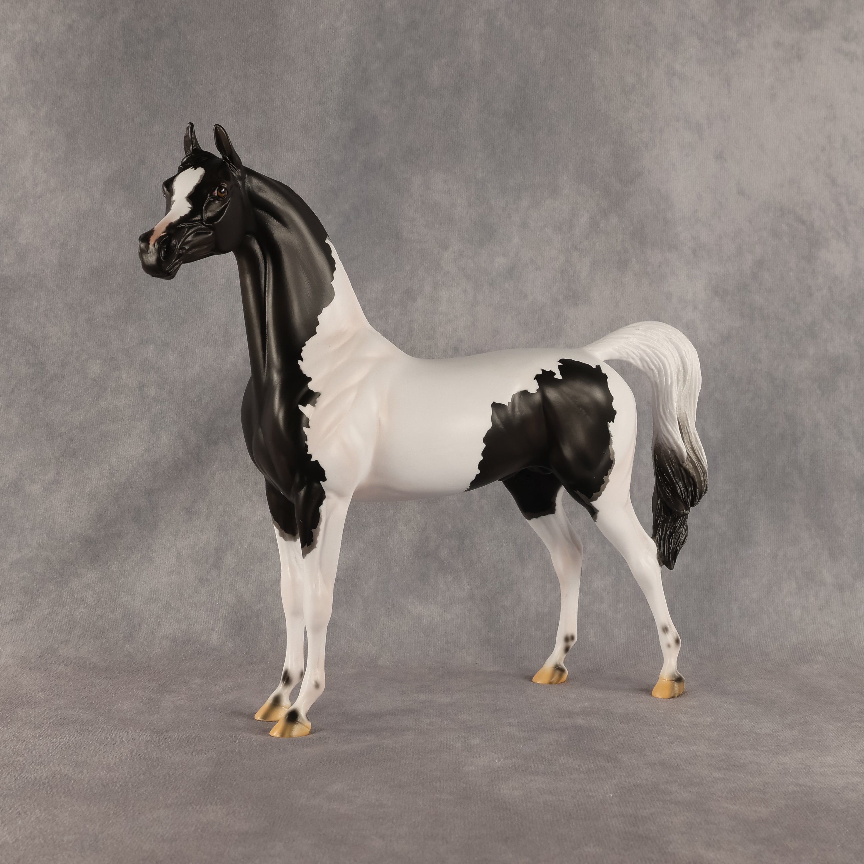 Flocking On A Dream OOAK Arabian Stallion by Carissa Mathews DDOOAKs26