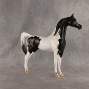 Flocking On A Dream OOAK Arabian Stallion by Carissa Mathews DDOOAKs26