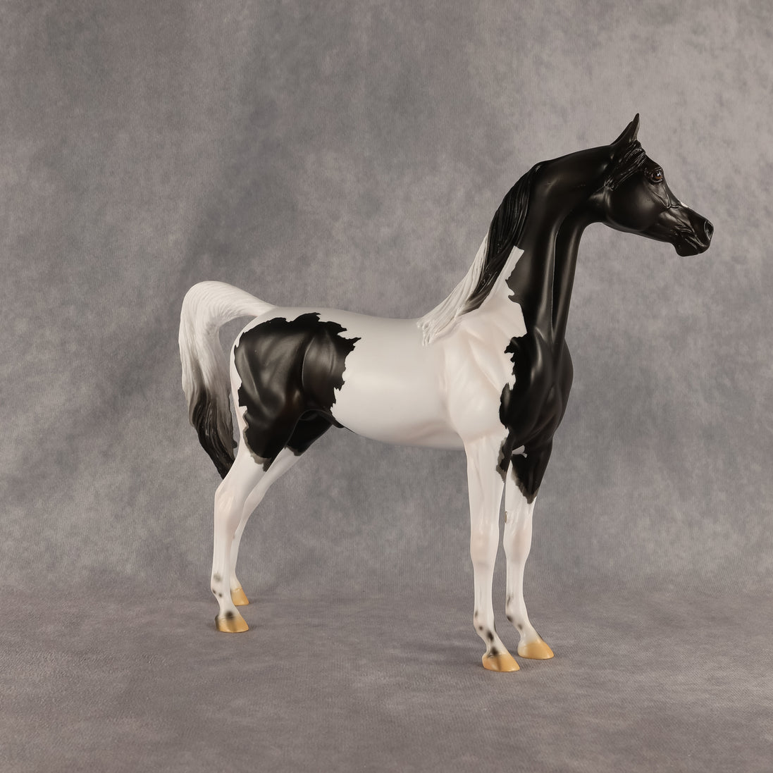 Flocking On A Dream OOAK Arabian Stallion by Carissa Mathews DDOOAKs26