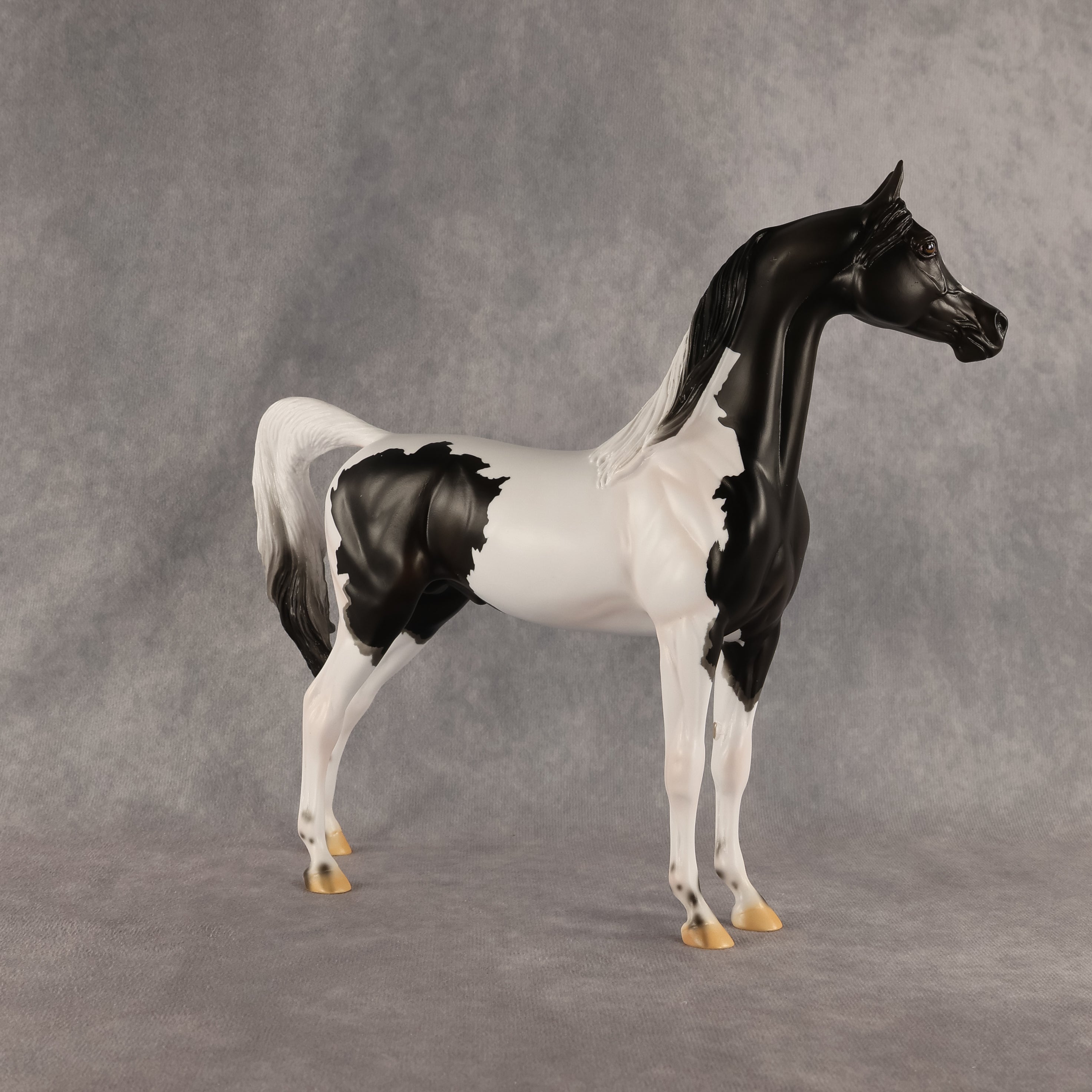 Flocking On A Dream OOAK Arabian Stallion by Carissa Mathews DDOOAKs26