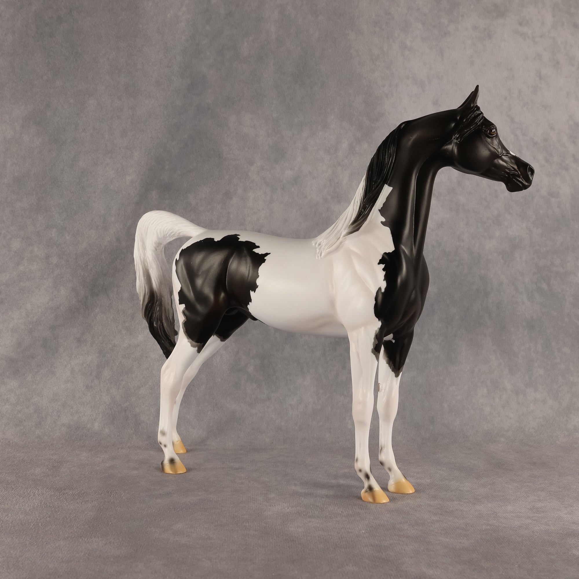 Flocking On A Dream OOAK Arabian Stallion by Carissa Mathews DDOOAKs26