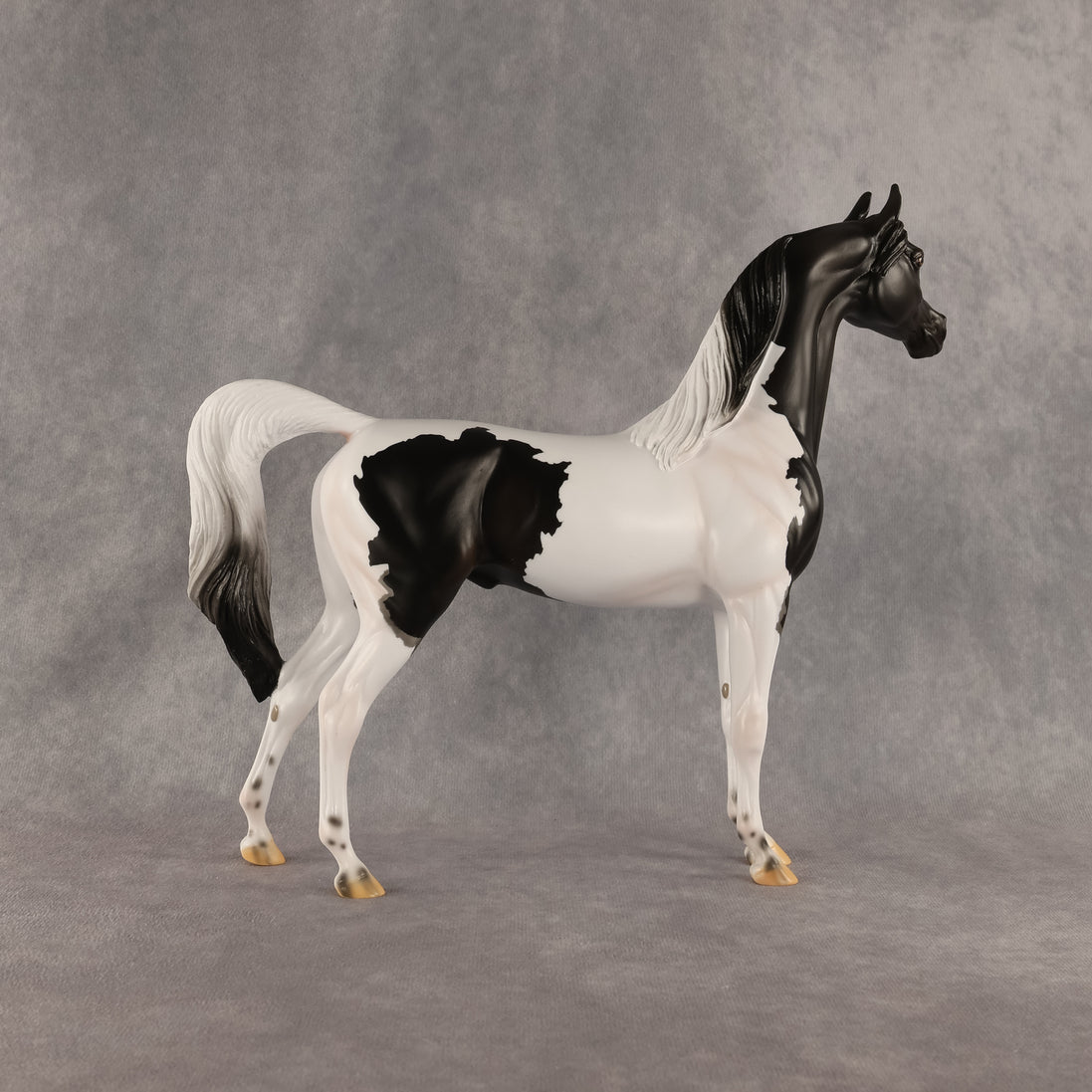 Flocking On A Dream OOAK Arabian Stallion by Carissa Mathews DDOOAKs26