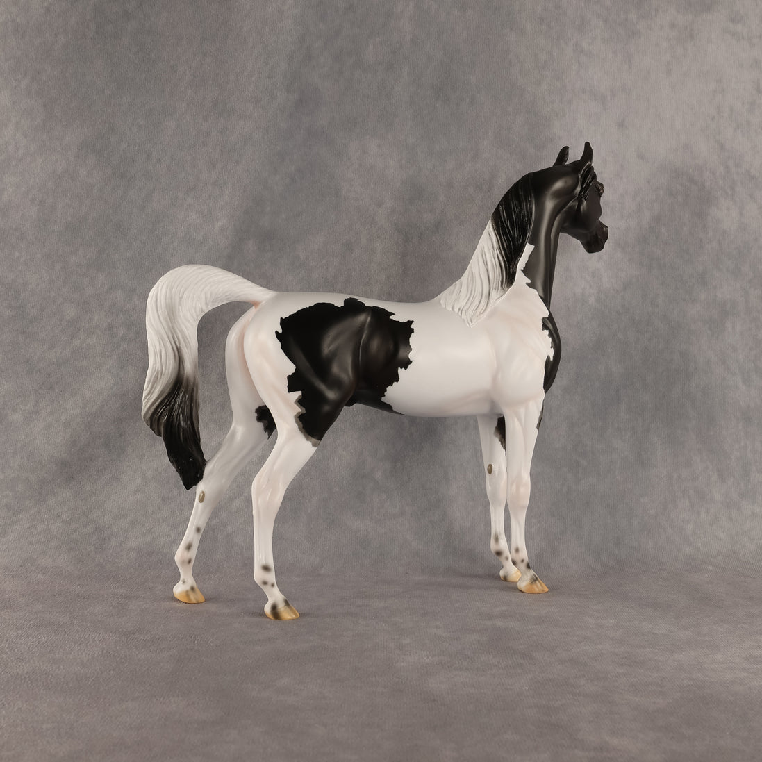Flocking On A Dream OOAK Arabian Stallion by Carissa Mathews DDOOAKs26